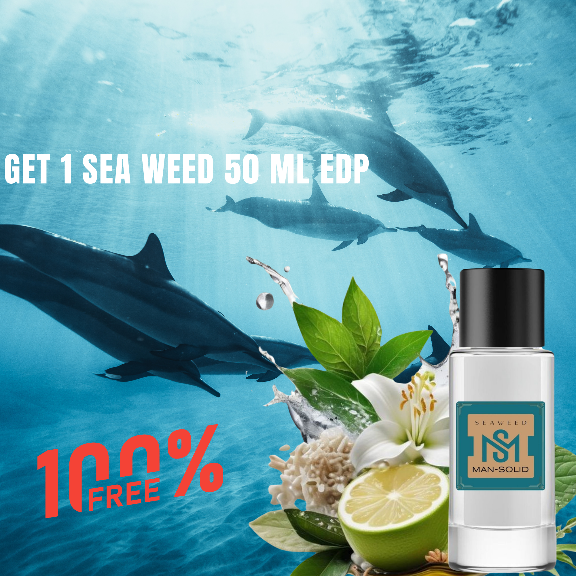 Man-Solid Sky Blue T-Shirt with Sea Weed 50ml EDP – Fresh Style & Aquatic Sophistication